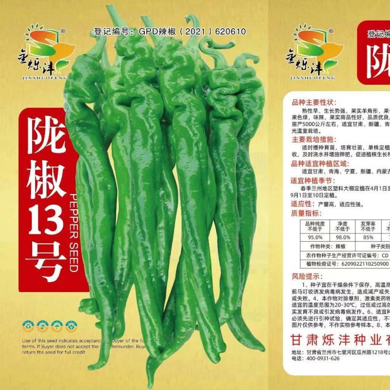 精品陇椒13号产量好耐疫病品质优良
