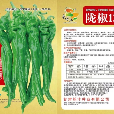 精品陇椒13号产量好耐疫病品质优良