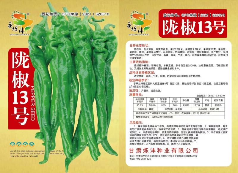 精品陇椒13号产量好耐疫病品质优良