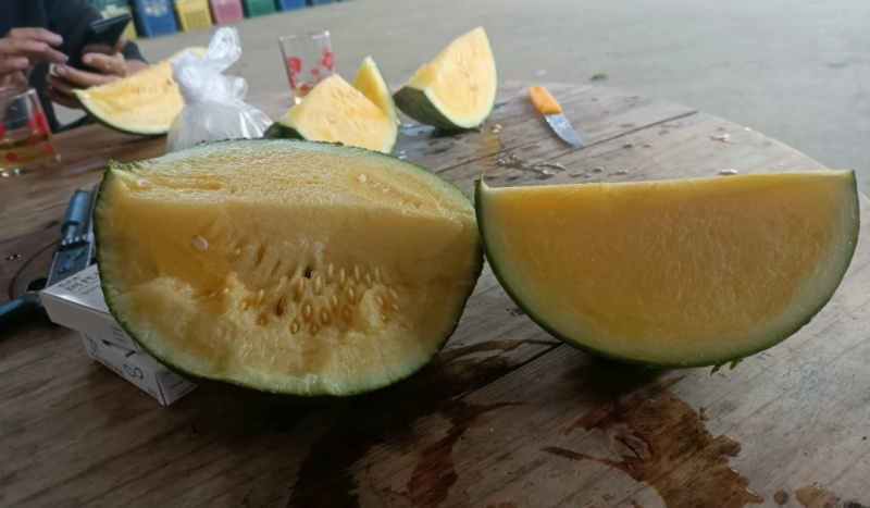 新鲜一次性的大棚瓜，需要的可以聊系我
