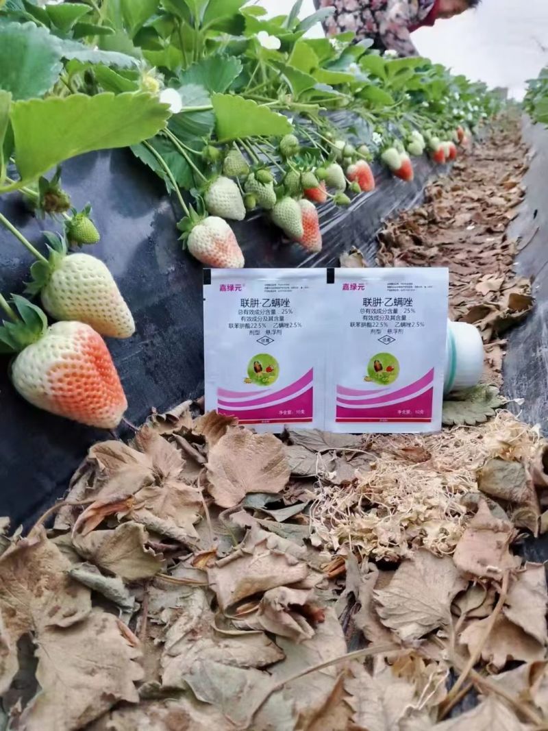 联苯肼酯乙螨唑红蜘蛛专用草莓葡萄柑橘果树杀虫剂不伤花果
