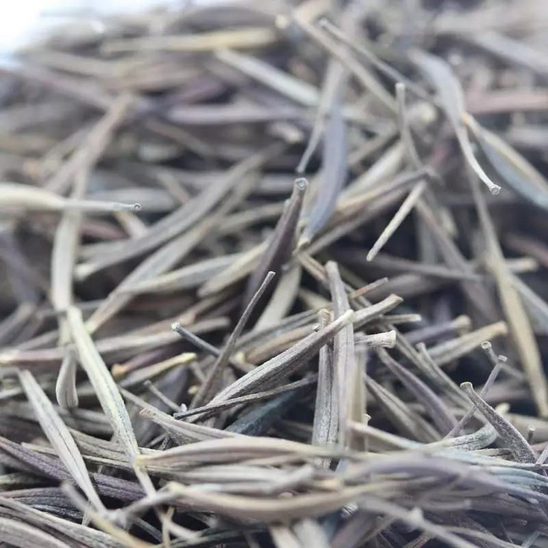 硫华菊种子黄色波斯菊花种子四季易种易活室外庭院景观