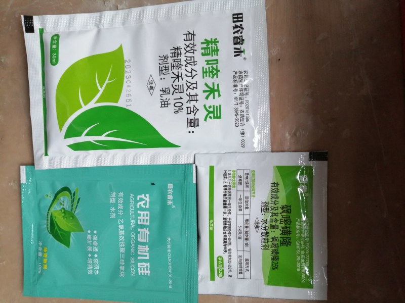 芋农闲魔芋田苗后一年生阔叶科禾本磨芋除草剂云南贵州四川