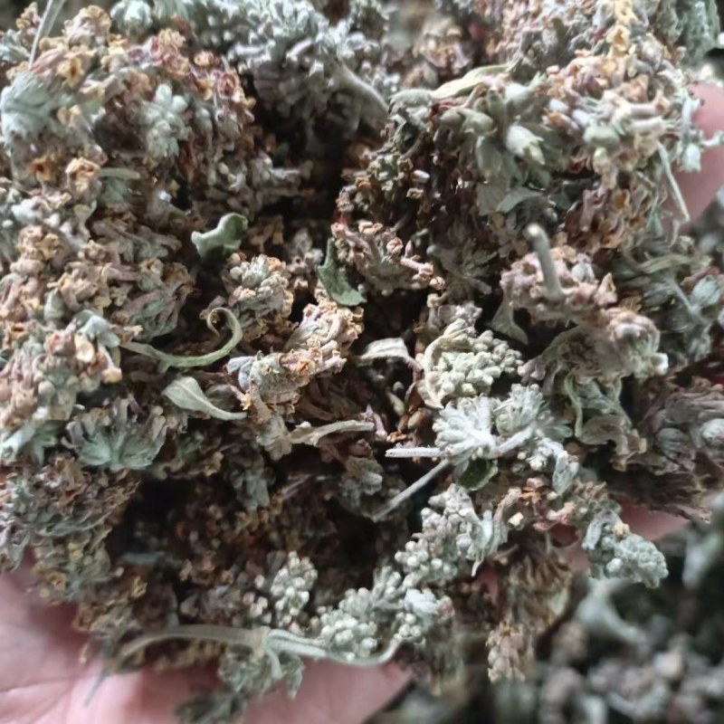 迷蒙花，染饭花，花米饭用料