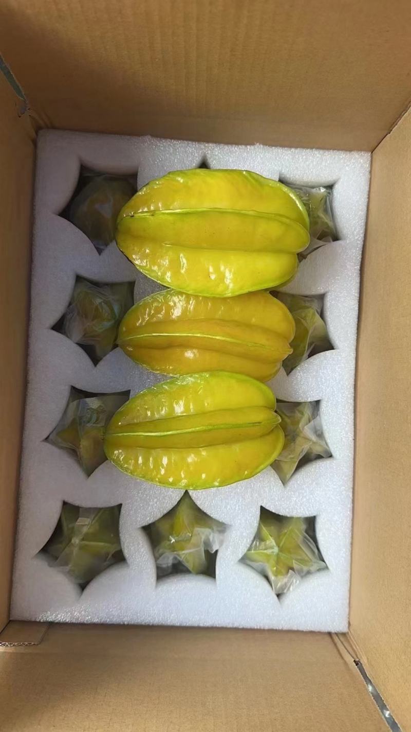 下河甜杨桃