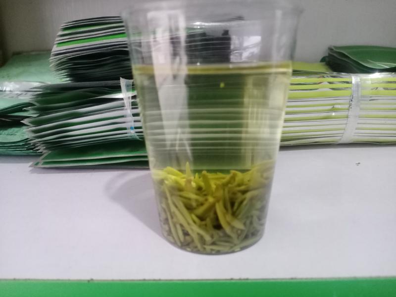 汉中仙毫绿茶欢迎鉴品