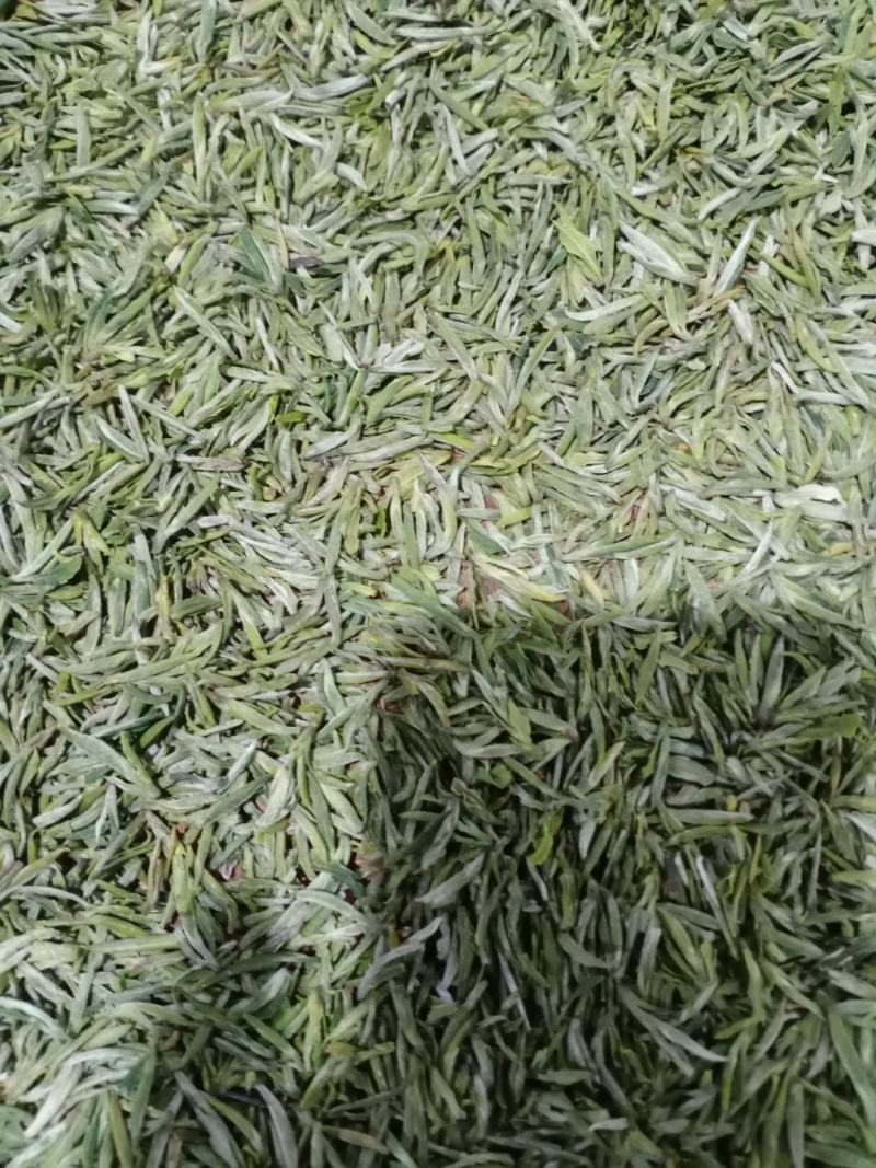 汉中仙毫绿茶欢迎鉴品