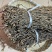 【脱水长豆角】长干豆角，清脆爽口，农家特产陕西豆角