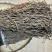 【脱水长豆角】长干豆角，清脆爽口，农家特产陕西豆角