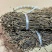 【脱水长豆角】长干豆角，清脆爽口，农家特产陕西豆角