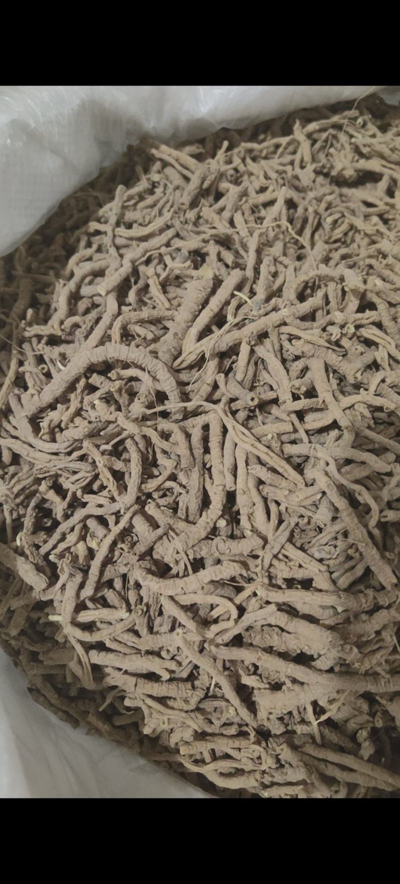 远志筒精品远志抽芯率98%万信药业只做精品从优