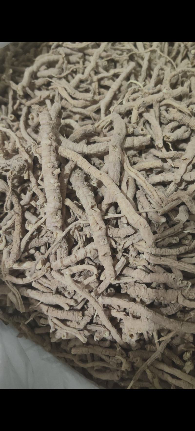 远志筒精品远志抽芯率98%万信药业只做精品从优