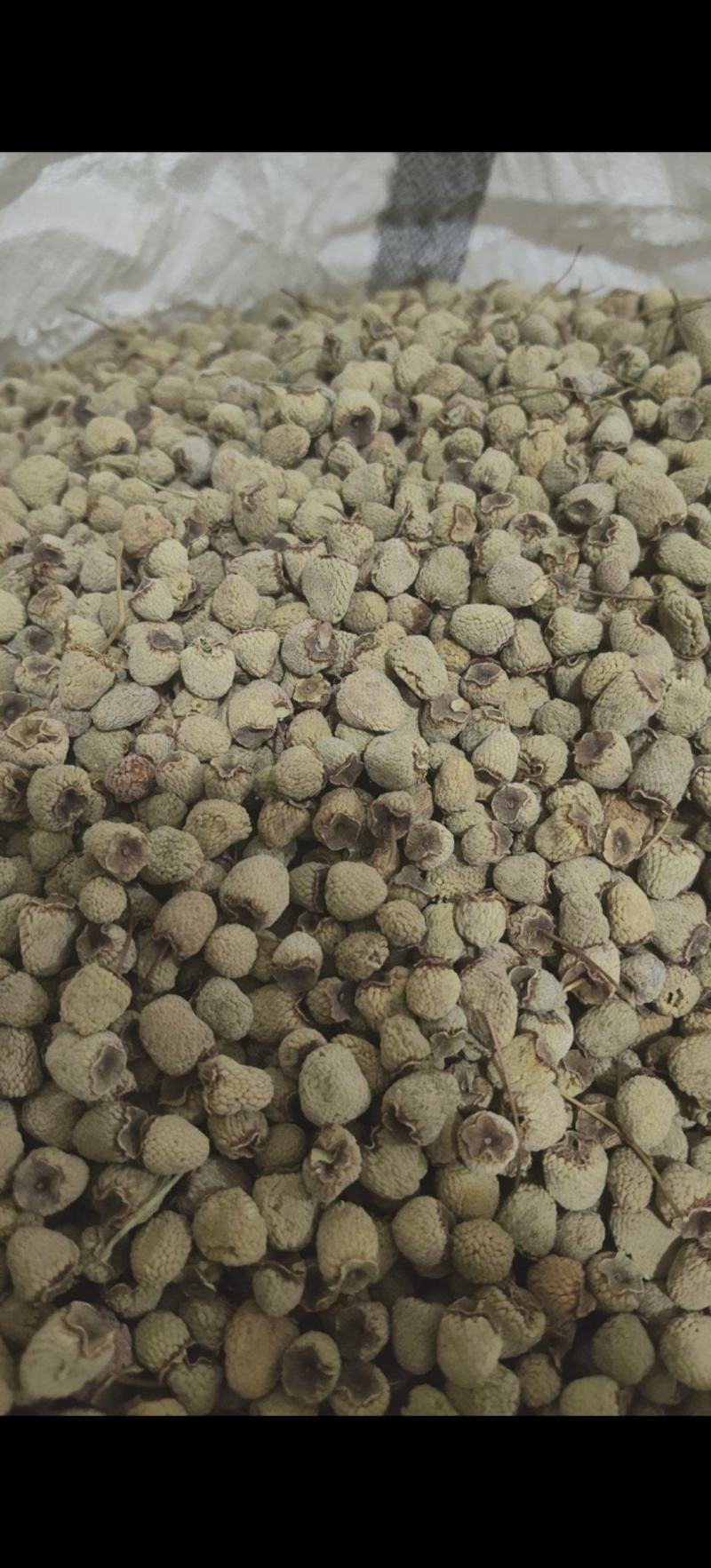 覆盆子选货不掺小的万信药业只做精品货