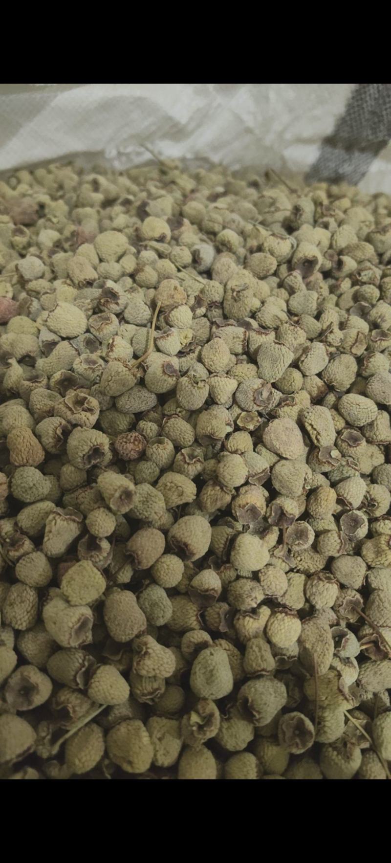 覆盆子选货不掺小的万信药业只做精品货