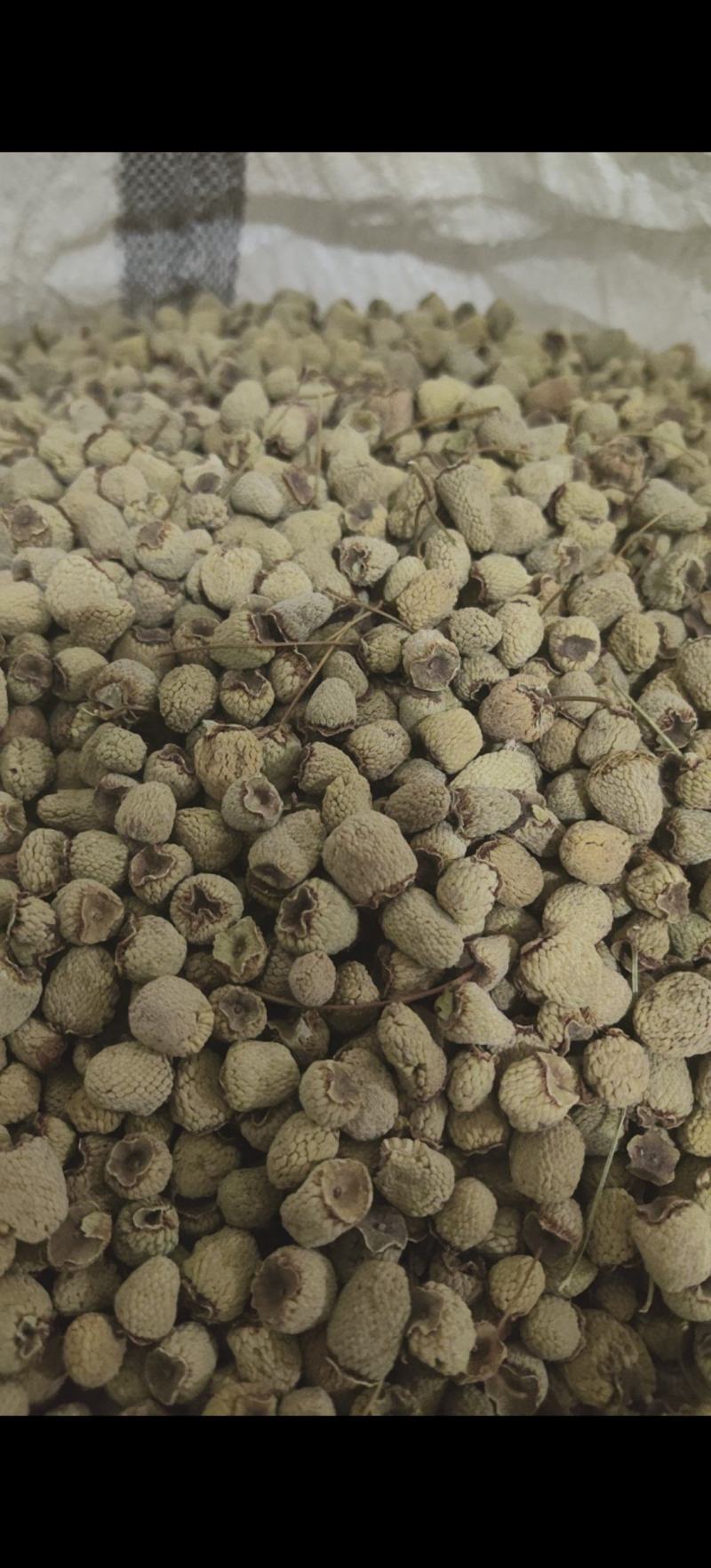 覆盆子选货不掺小的万信药业只做精品货