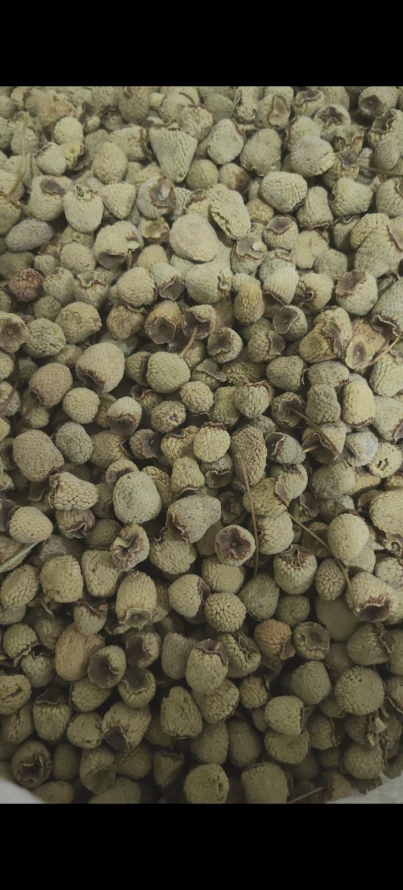 覆盆子选货不掺小的万信药业只做精品货
