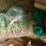 莘县香菜大量上市，产地直发，货源充足，品质保障，新鲜现摘