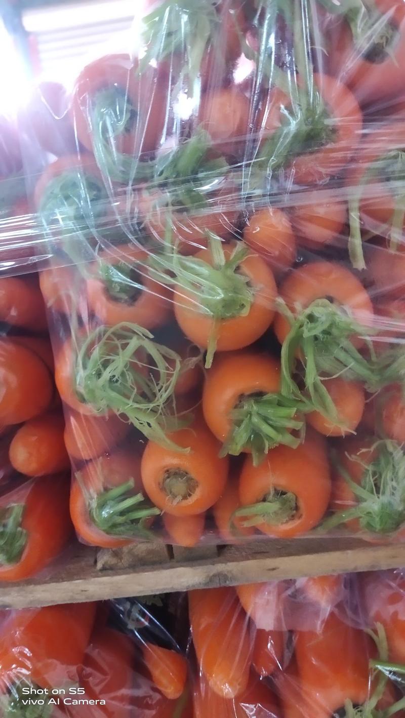 《精选》福建三红胡萝卜，各种包装规格全，支持全国各地发货