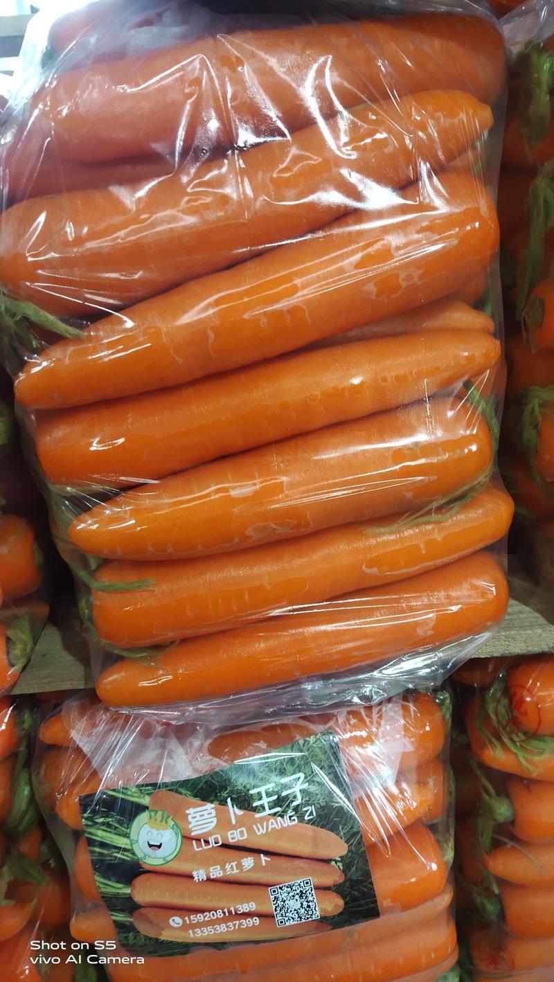 《精选》福建三红胡萝卜，各种包装规格全，支持全国各地发货