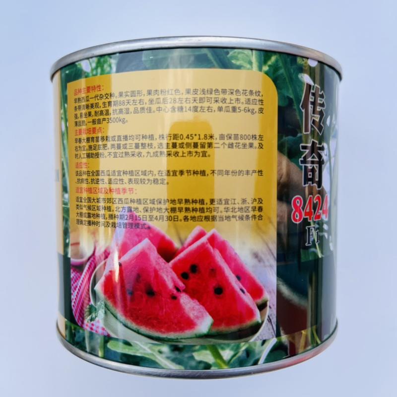 茂华传奇8424西瓜品种，早熟品种红瓤西瓜种子