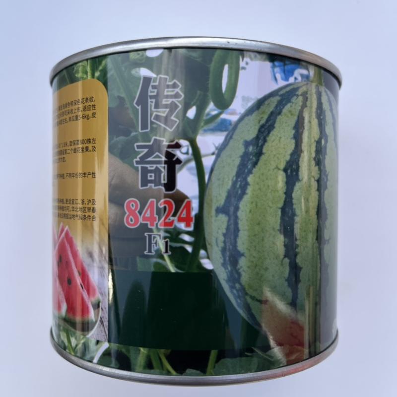 茂华传奇8424西瓜品种，早熟品种红瓤西瓜种子