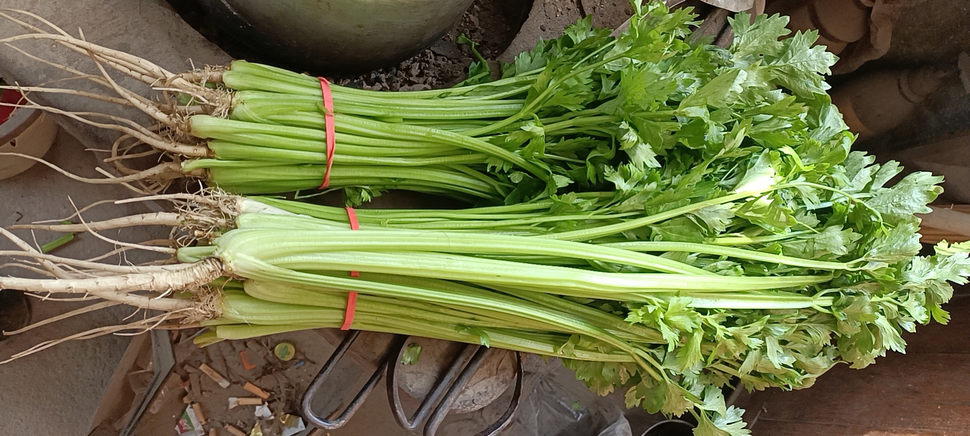 芹菜与包菜搭配炒制