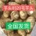 山东8520毛芋产地批发货源充足保质保量全国发货