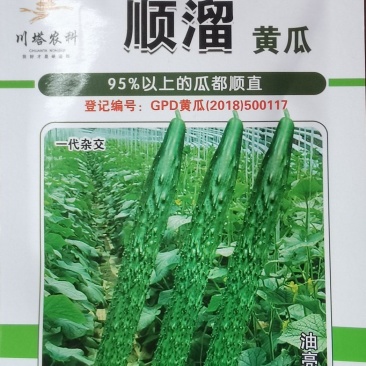 密刺黄瓜种子顺溜翠绿色油亮型顺直度高淡绿肉抗病高产