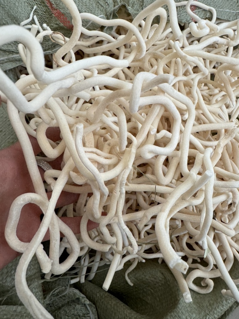 小通草通草保庆药业批发小通草实拍现货中药材