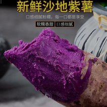 紫薯紫罗兰泰紫，产地大量保质保量全国批发电商一件代发