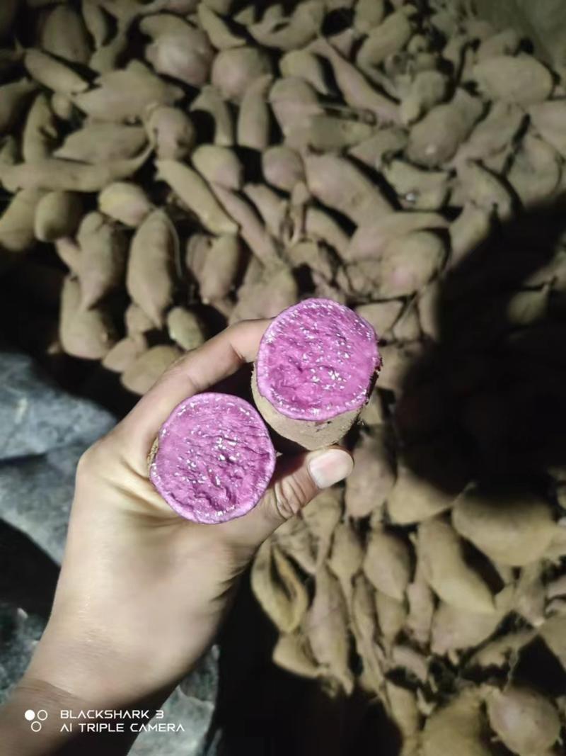 紫薯紫罗兰泰紫，产地大量有货保质保量全国批发一件代发