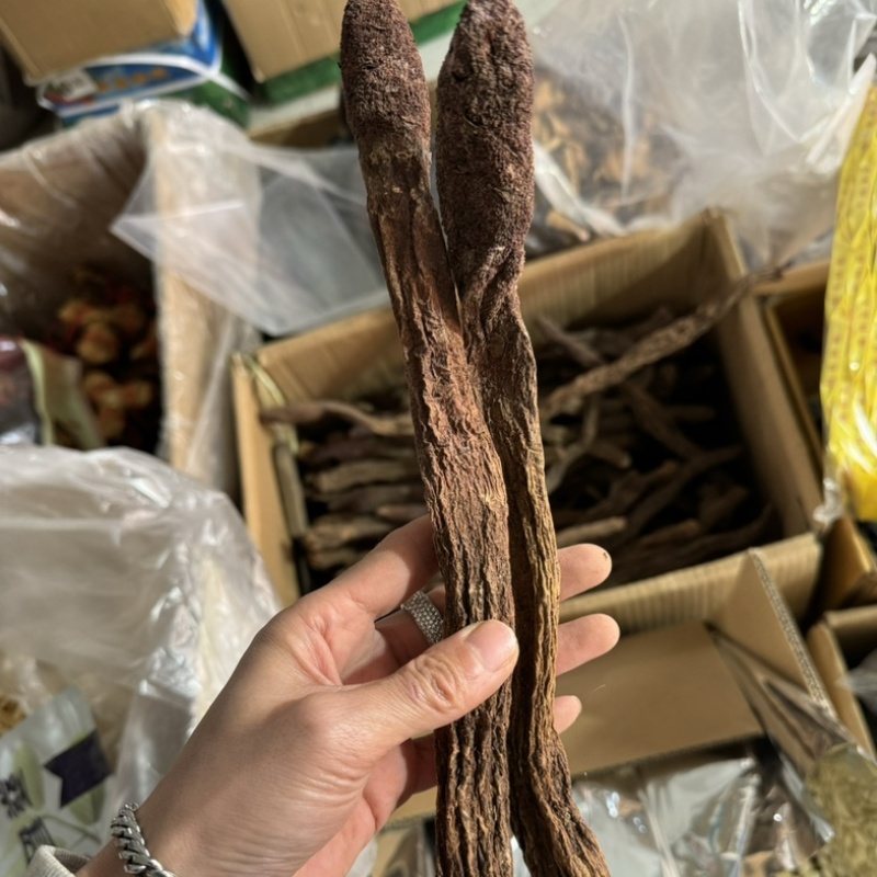 锁阳个锁阳保庆药业批发金锁阳锁阳片新货