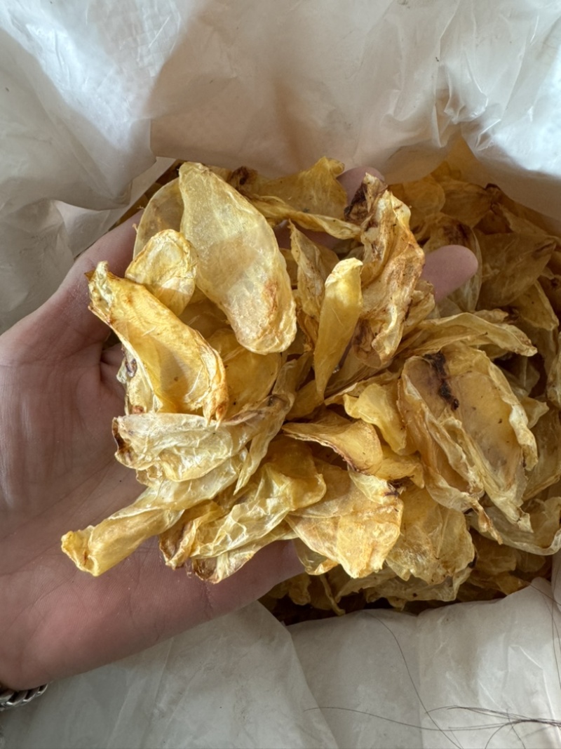 鱼鳔鱼泡鱼胶鱼漂保庆药业批发实物拍摄干货好货