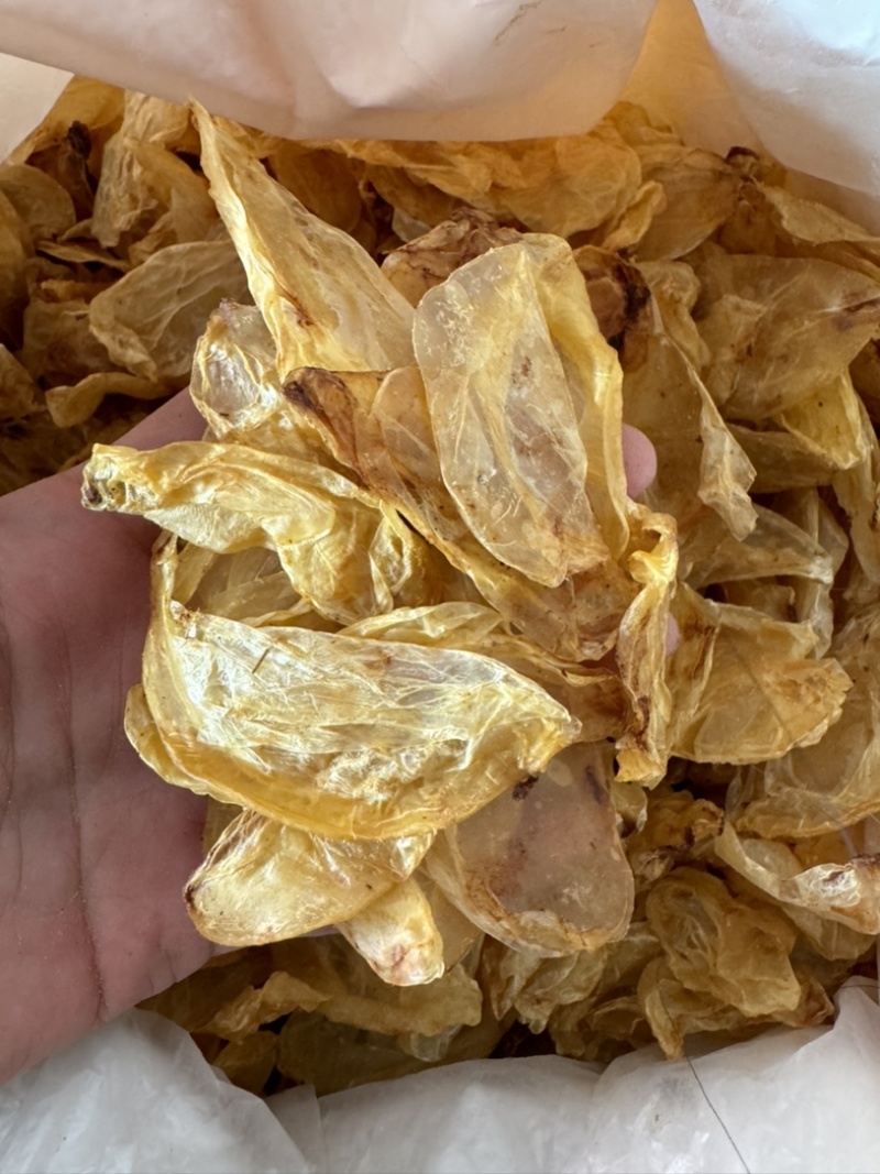 鱼鳔鱼泡鱼胶鱼漂保庆药业批发实物拍摄干货好货