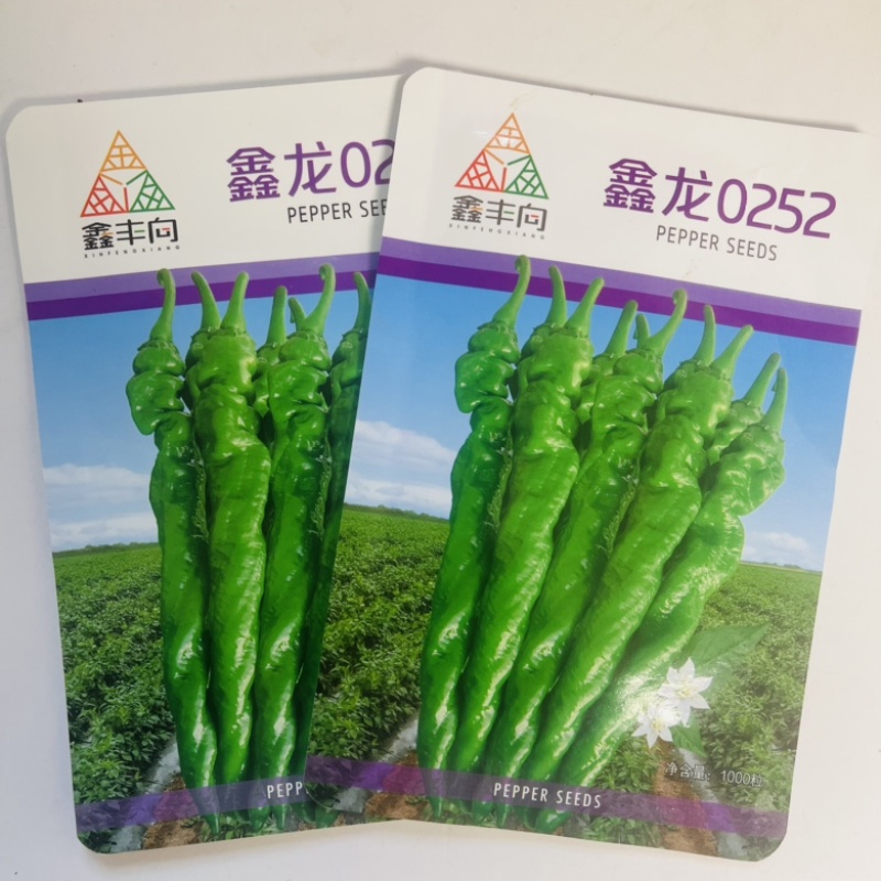 鑫龙0252螺丝椒种子，全螺品种高秧品种杂交一代