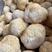 【包邮】猴头菇头茬猴头菇特产干货无硫野生新鲜菌菇煲汤食材