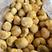 【包邮】猴头菇头茬猴头菇特产干货无硫野生新鲜菌菇煲汤食材