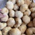 【包邮】猴头菇头茬猴头菇特产干货无硫野生新鲜菌菇煲汤食材