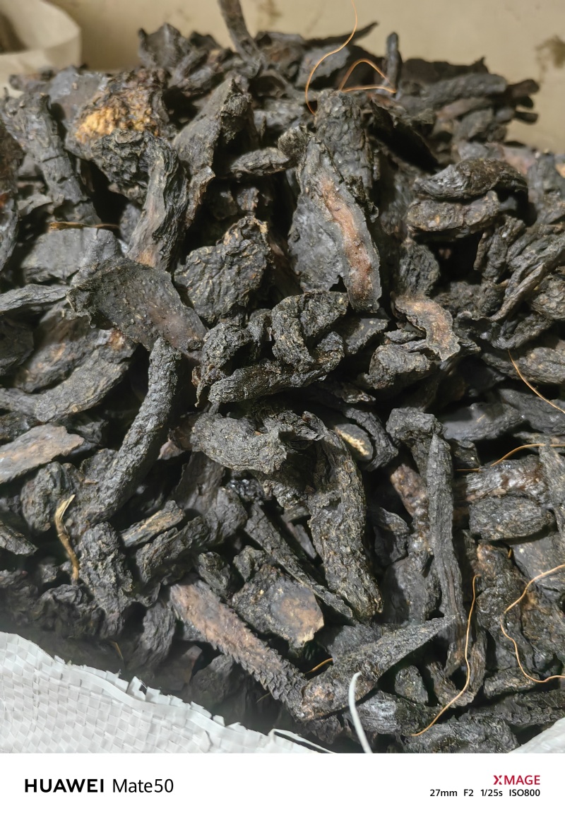 软肉苁蓉软大芸咸味的地道药材万信药业只做保真药材