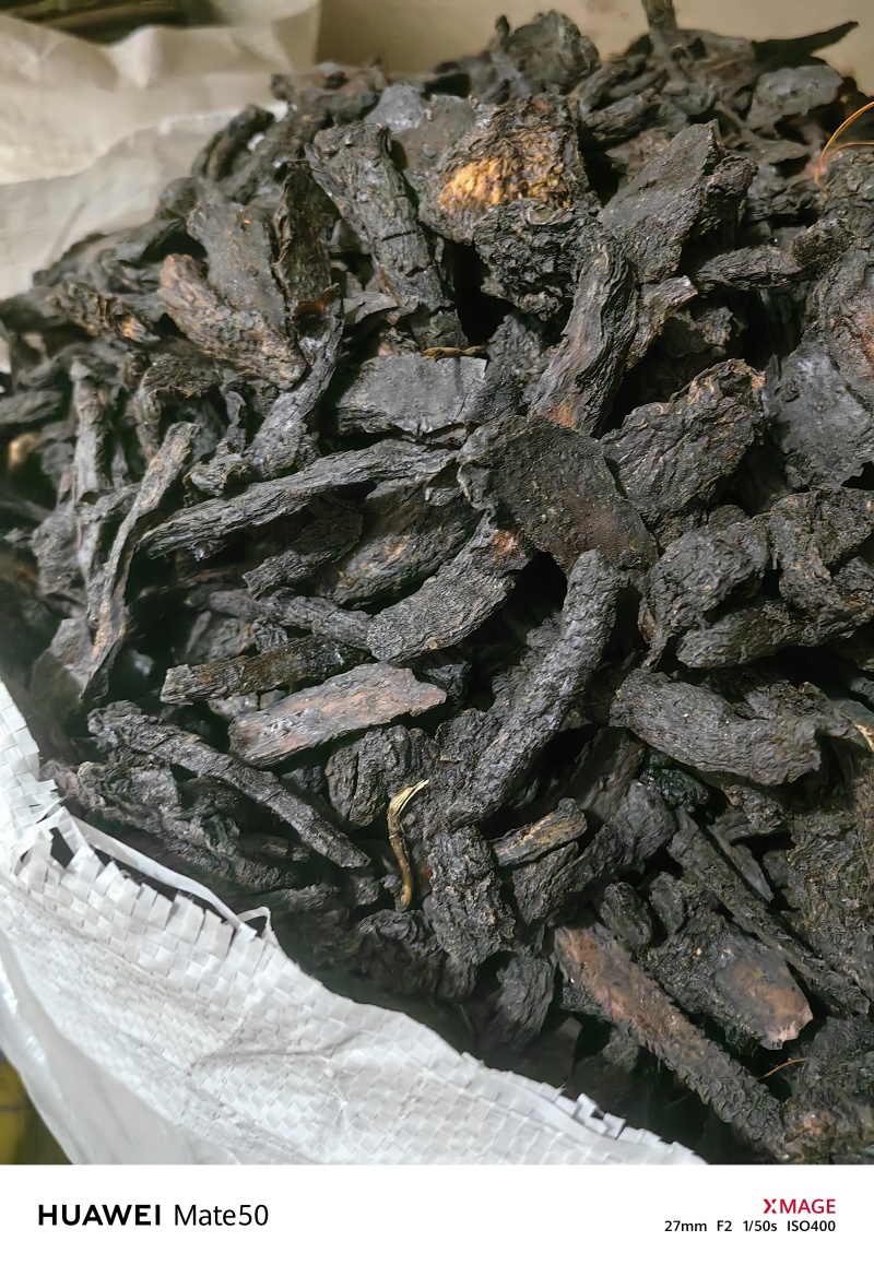 软肉苁蓉软大芸咸味的地道药材万信药业只做保真药材