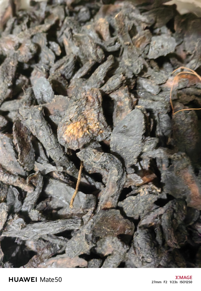 软肉苁蓉软大芸咸味的地道药材万信药业只做保真药材