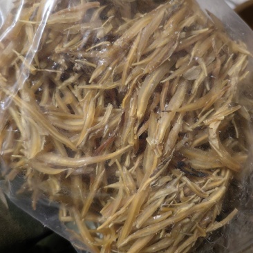 天冬天门冬广西天冬万信药业只做保真药材