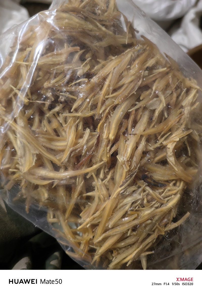 天冬天门冬广西天冬万信药业只做保真药材