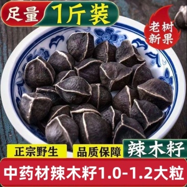 【辣木籽】中药材老树辣木籽颗粒饱满灰黑色大果包邮