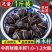 【辣木籽】中药材老树辣木籽颗粒饱满灰黑色大果包邮
