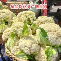 有机花菜、小米粒松花菜。基地直供质优价廉。全国代发！！