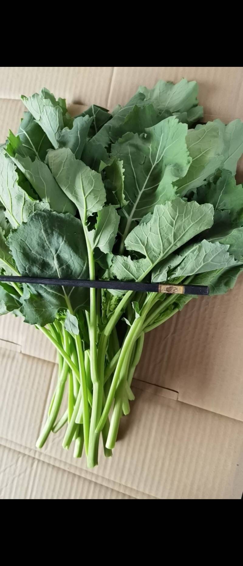 板蓝甘青菜油菜苔精品货，大量上市