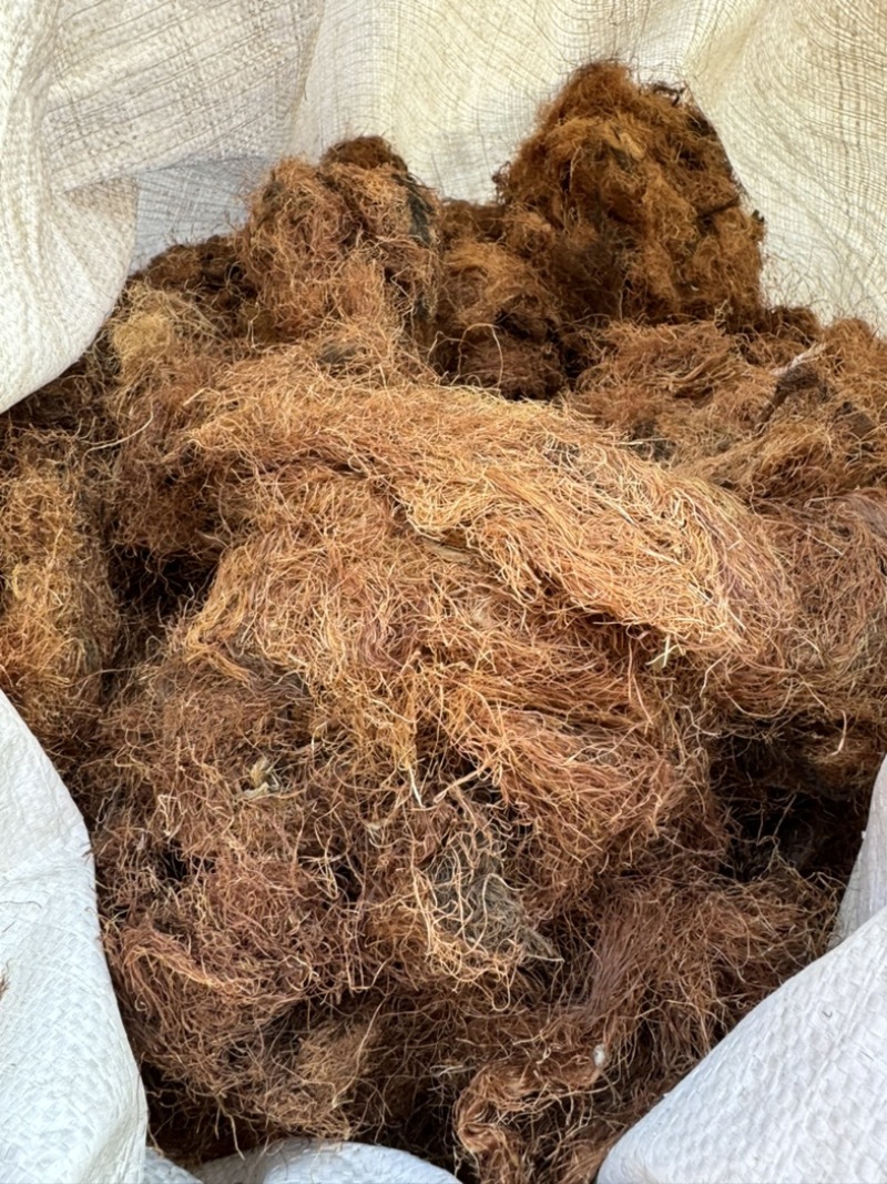 玉米须保庆药业批发玉米须实物无杂质玉米须