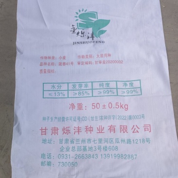 精品陇春41小麦种子，产量好！抗倒伏！品质优良