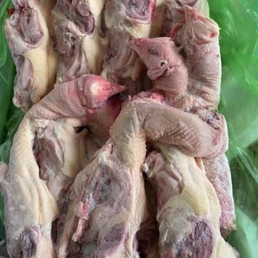 带头种鸡架